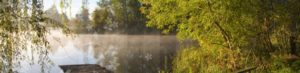 Forellenteich Bild, stimmungsvoll in mit Morgentau