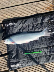 Fischereischein NRW