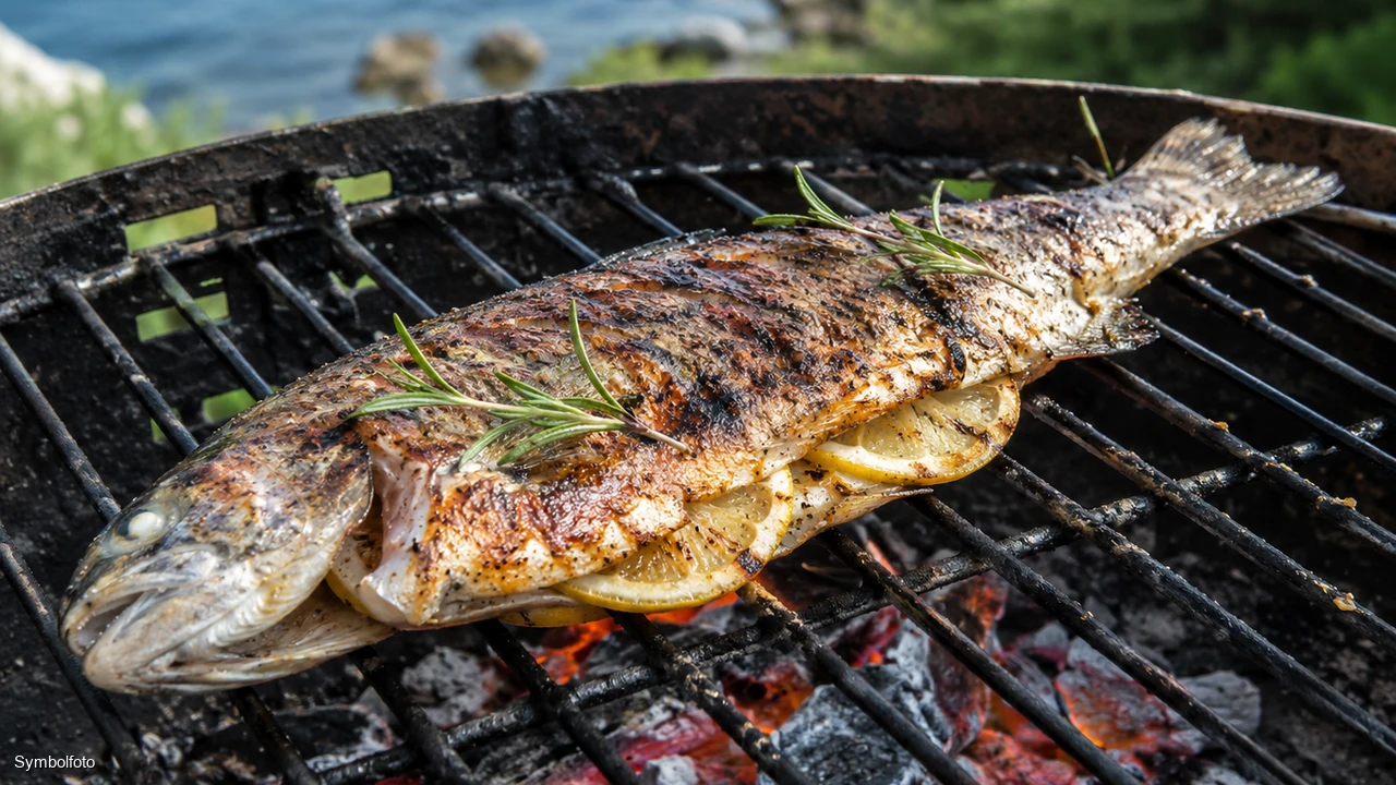 Gegrillte Forelle mit Grillstreifen auf der Grillpfanne mit Zitrone und Kräutern